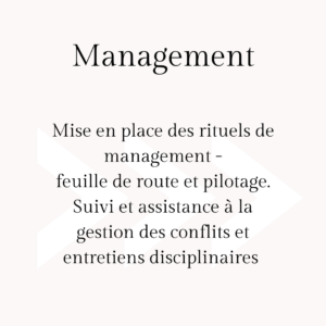 Domaines d'intervention - Management